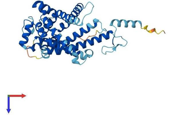 SLC25A43 Protein (AA 1-341) (His tag)