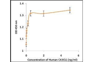 Activity Assay (AcA) image for Chemokine (C-X3-C Motif) Ligand 1 (CX3CL1) (Active) protein (ABIN5509500) (CX3CL1 Protein)