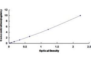 Typical standard curve (DNMT1 ELISA Kit)