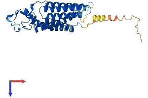 PPAP2C Protein (AA 1-288) (His tag)