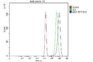 anti-Alcohol Dehydrogenase 1A (Class I), alpha Polypeptide (ADH1A) (AA 213-375) antibody