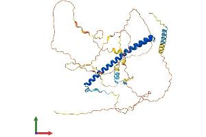 Protein Structure (PS) image for Nuclear Factor, Interleukin 3 Regulated (NFIL3) (AA 1-462) protein (His tag) (ABIN7554706)