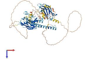 SYTL4 Protein (AA 1-671) (His tag)
