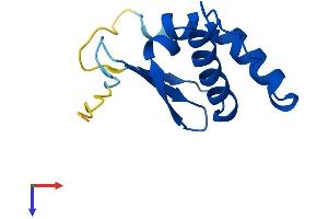 TCEB1 Protein (AA 1-112) (His tag)