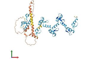 Protein Structure (PS) image for Zinc Finger Protein 486 (ZNF486) (AA 1-463) protein (His tag) (ABIN7545327)