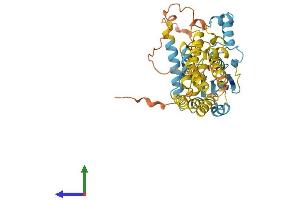 Protein Structure (PS) image for Immunity-Related GTPase Family, Cinema (IRGC) (AA 1-412) protein (His tag) (ABIN7559112)