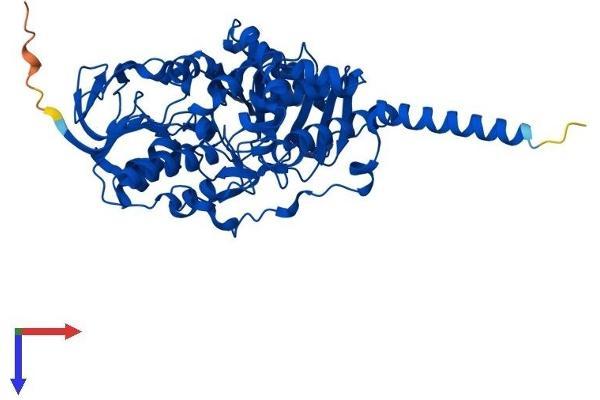 Monoamine Oxidase A Protein (MAOA) (AA 1-526) (His tag)