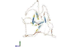 Protein Structure (PS) image for Holliday Junction Recognition Protein (HJURP) (AA 1-748) protein (His tag) (ABIN7554121)