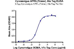 ELISA image for Tumor Necrosis Factor (Ligand) Superfamily, Member 13 (TNFSF13) (AA 112-250), (Trimer) protein (His-Avi-DYKDDDDK Tag) (ABIN7273872)