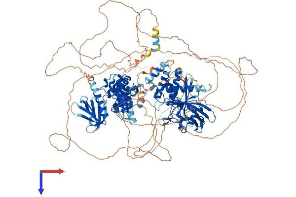 PTPN21 Protein (AA 1-1174) (His tag)