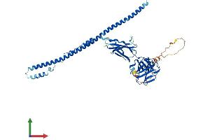 Protein Structure (PS) image for Fibronectin Type III and SPRY Domain Containing 1 (FSD1) (AA 1-496) protein (His tag) (ABIN7547873)