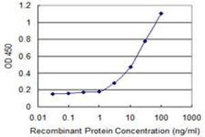Detection limit for recombinant GST tagged AKT1 is 1 ng/ml as a capture antibody. (AKT1 Antikörper  (AA 1-480))