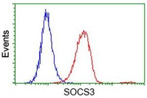 Flow Cytometry (FACS) image for anti-Suppressor of Cytokine Signaling 3 (SOCS3) antibody (ABIN1501059)