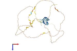 RBMX Protein (AA 1-391) (His tag)