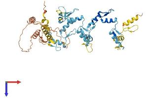 ZNF223 Protein (AA 1-482) (His tag)