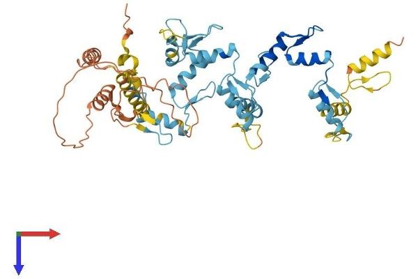 ZNF223 Protein (AA 1-482) (His tag)