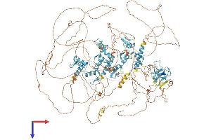 PRDM16 Protein (AA 1-1275) (His tag)