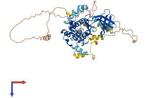 NEK3 Protein (AA 1-506) (His tag)