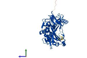 Protein Structure (PS) image for Branched Chain Amino-Acid Transaminase 1, Cytosolic (BCAT1) (AA 1-386) protein (His tag) (ABIN7552661)