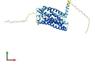 Protein Structure (PS) image for Chemokine (C-C Motif) Receptor 3 (CCR3) (AA 1-359) protein (His tag) (ABIN7563391)