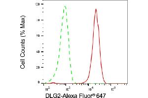 anti-Discs, Large Homolog 2 (DLG2) antibody