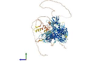 Protein Structure (PS) image for SH3-Domain Binding Protein 4 (SH3BP4) (AA 1-962) protein (His tag) (ABIN7564846)