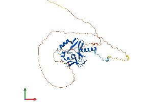 Protein Structure (PS) image for SET Domain Containing (Lysine Methyltransferase) 8 (SETD8) (AA 1-349) protein (His tag) (ABIN7563657)