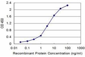 Detection limit for recombinant GST tagged FXN is approximately 0. (Frataxin Antikörper  (AA 91-200))