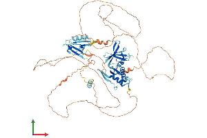 Protein Structure (PS) image for Dishevelled Segment Polarity Protein 1 (DVL1) (AA 1-695) protein (His tag) (ABIN7563374)