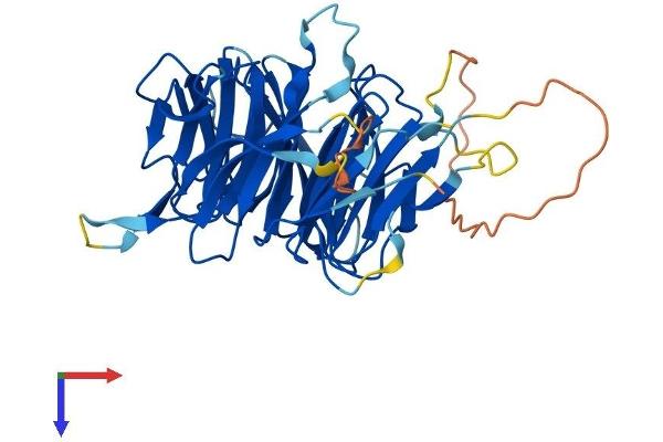 NUP43 Protein (AA 1-380) (His tag)