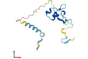 AlphaFold protein structure predicition of Mouse Recombinant Nanos2 Protein, UniprotID P60322