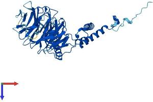 DCAF13 Protein (AA 1-445) (His tag)