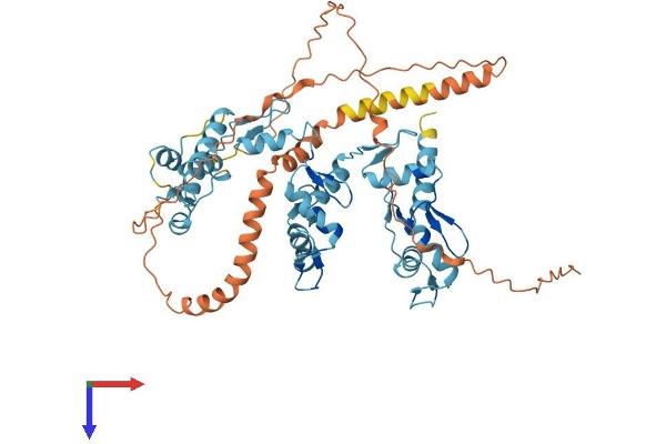 ZFP69 Protein (AA 1-526) (His tag)