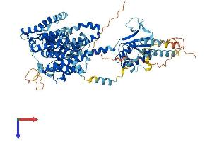 SLC26A2 Protein (AA 1-739) (His tag)