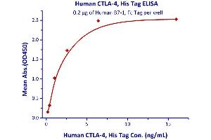 Immobilized Human B7-1, Fc Tag  with a linear range of 0.