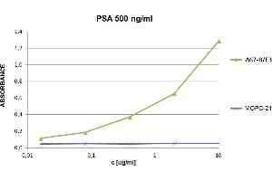 ELISA detection of PSA with anti-human PSA (A67-B/E3) biotin.