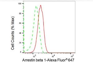 Flow cytometric analysis of Arrestin beta 1 expression in HepG2 cells using Arrestin beta 1 antibody (ABIN7797653), 1:2,000). (Rekombinanter beta Arrestin 1 Antikörper)