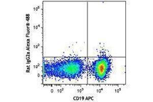 Flow Cytometry (FACS) image for Rat anti-Mouse IgM antibody (Alexa Fluor 488) (ABIN2667224) (Ratte anti-Maus IgM Antikörper (Alexa Fluor 488))