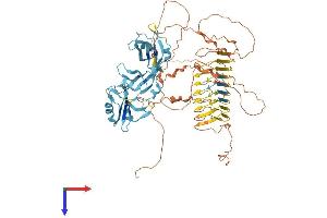 DAZ1 Protein (AA 1-744) (His tag)