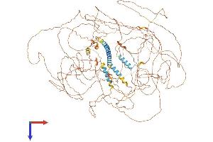 Meningioma 1 Protein (AA 1-1297) (His tag)