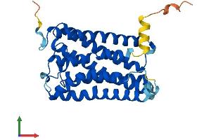 Protein Structure (PS) image for Retinal G Protein Coupled Receptor (RGR) (AA 1-291) protein (His tag) (ABIN7551349)