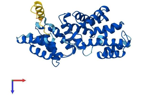 LRP2BP Protein (AA 1-347) (His tag)