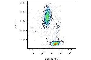 Surface staining of human peripheral blood cells by mouse monoclonal anti-beta2-microglobulin antibody B2M-02 . (beta-2 Microglobulin Antikörper  (Biotin))