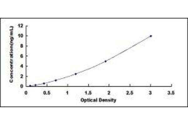 RACGAP1 ELISA Kit