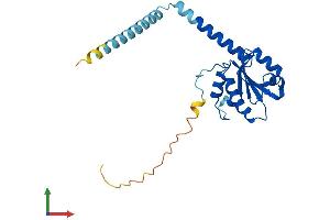 Protein Structure (PS) image for Thioredoxin Domain Containing 9 (TXNDC9) (AA 1-226) protein (His tag) (ABIN7560516)