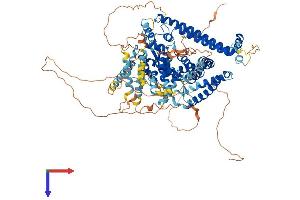 ATG9B Protein (AA 1-924) (His tag)