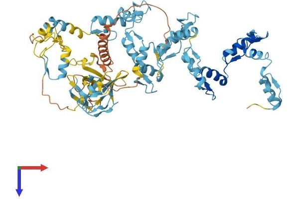 PRDM5 Protein (AA 1-630) (His tag)