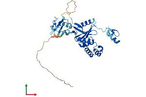 Protein Structure (PS) image for Ubiquitin Thioesterase OTU1 (YOD1) (AA 1-343) protein (His tag) (ABIN7559223)