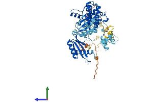 Protein Structure (PS) image for Protein Kinase, AMP-Activated, alpha 2 Catalytic Subunit (PRKAA2) (AA 1-552) protein (His tag) (ABIN7564415)