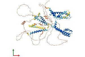 Protein Structure (PS) image for Potassium Voltage-Gated Channel, KQT-Like Subfamily, Member 2 (KCNQ2) (AA 1-759) protein (His tag) (ABIN7565310)
